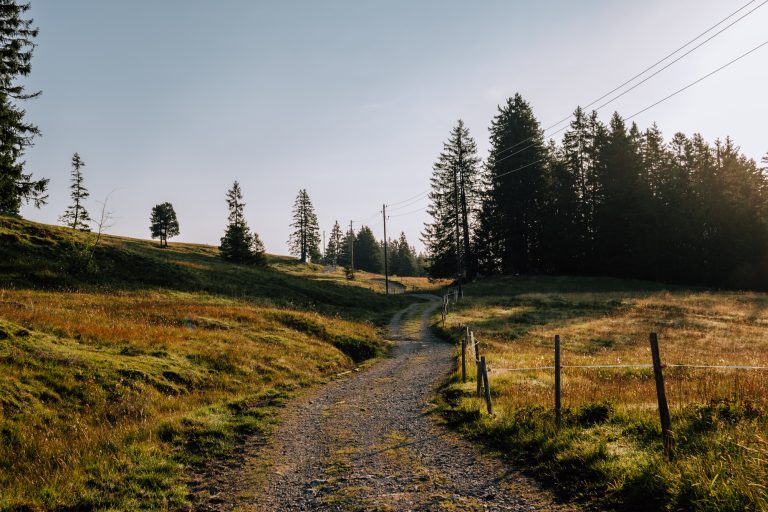 Alter Schwyzerweg