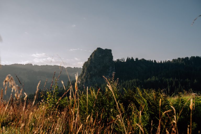 Alter Schwyzerweg