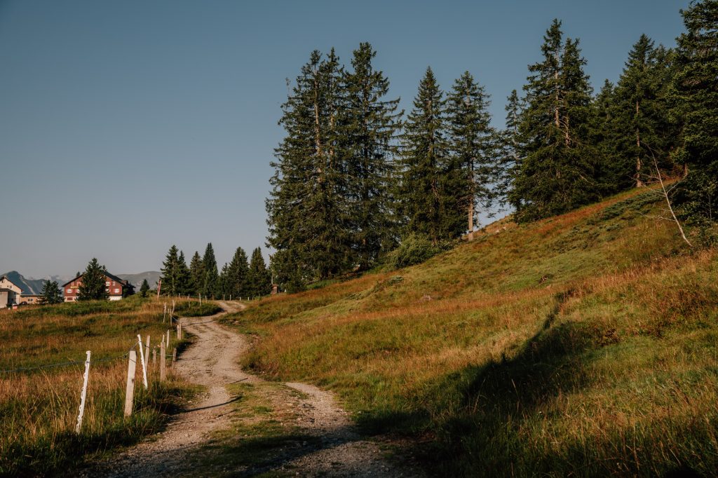 Alter Schwyzerweg