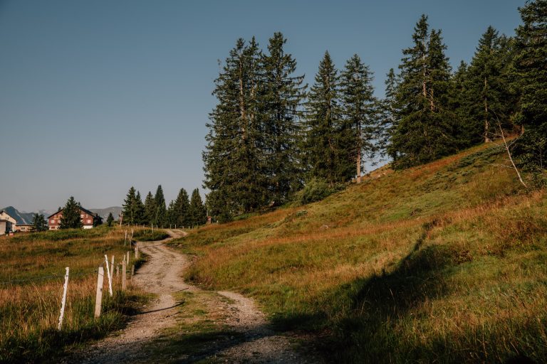 Alter Schwyzerweg