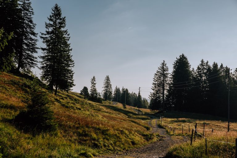 Alter Schwyzerweg